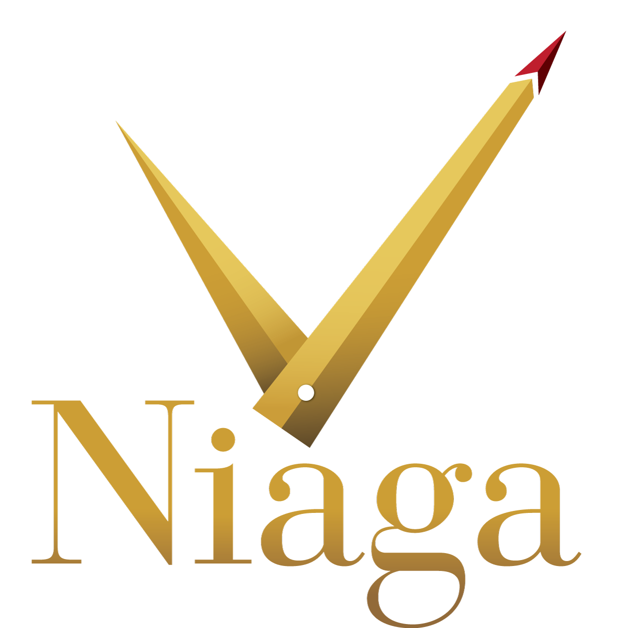 VNiaga