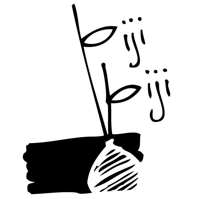 Biji-Biji Initiative
