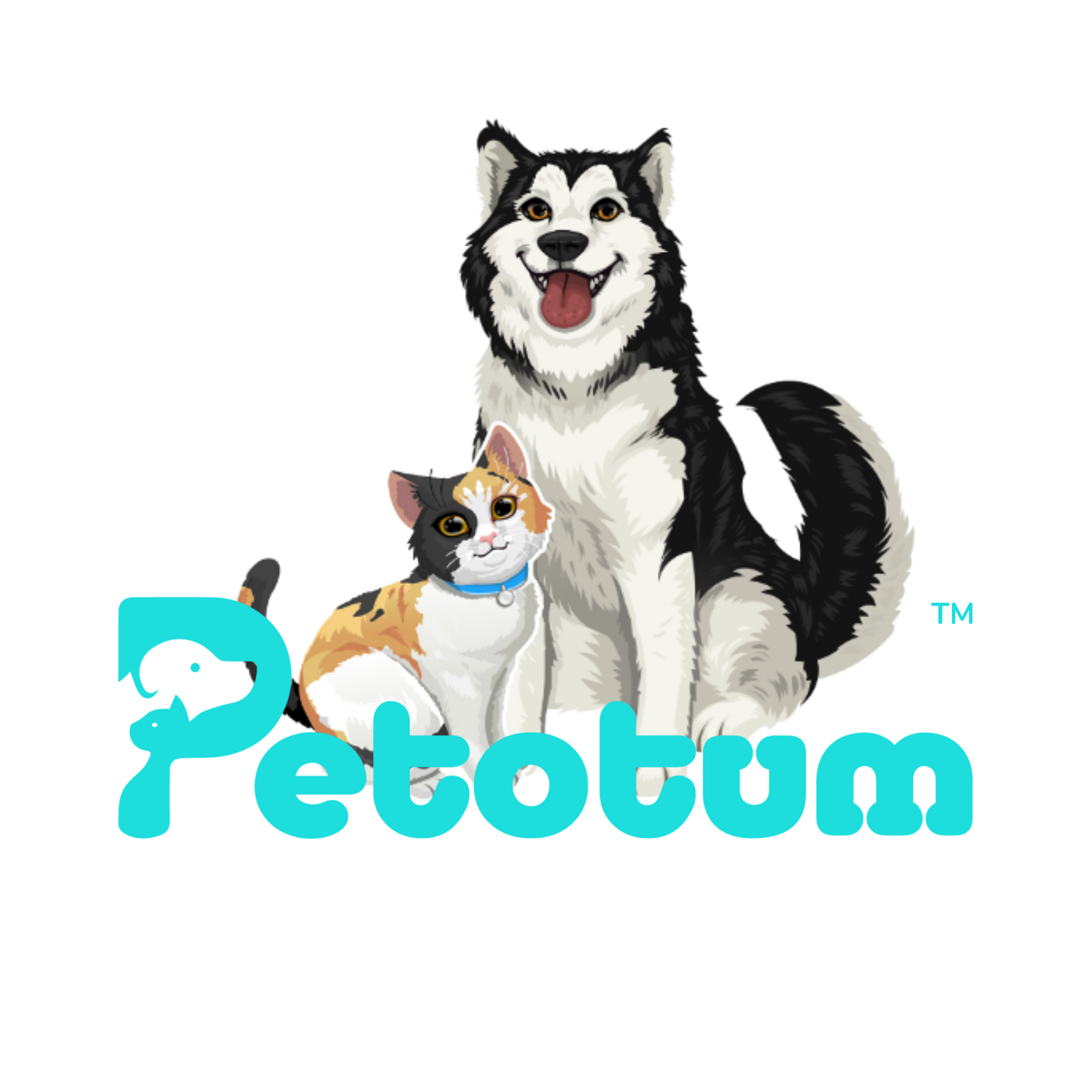Petotum