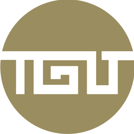 TGT Automotive Solution