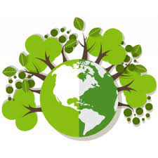 Rich Trees Consultancy
