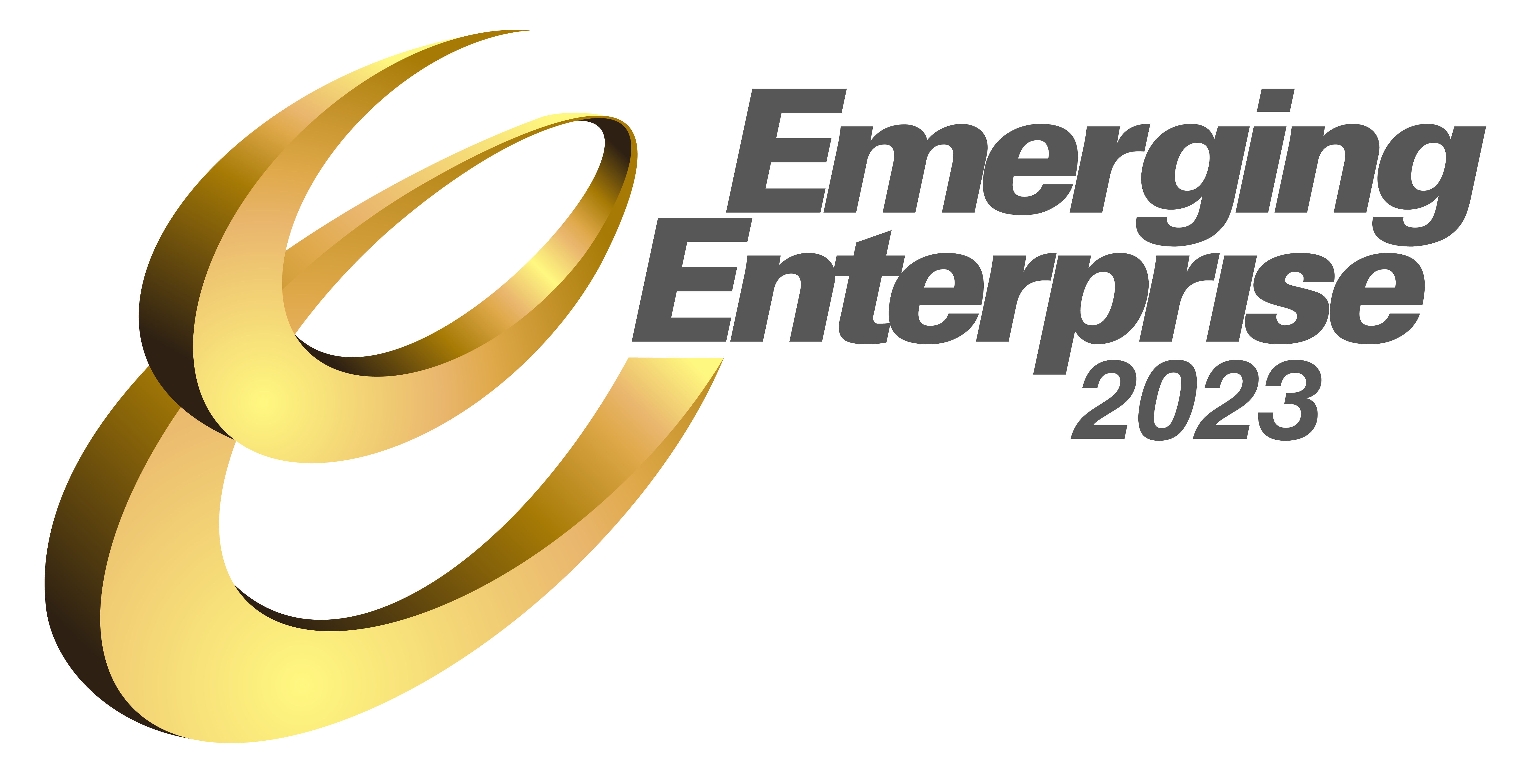 Emerging Enterprise