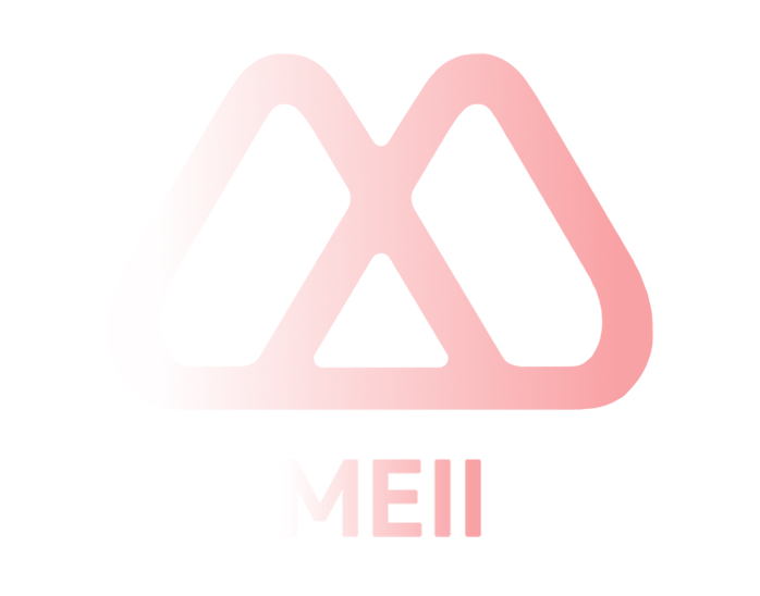 MEII Services