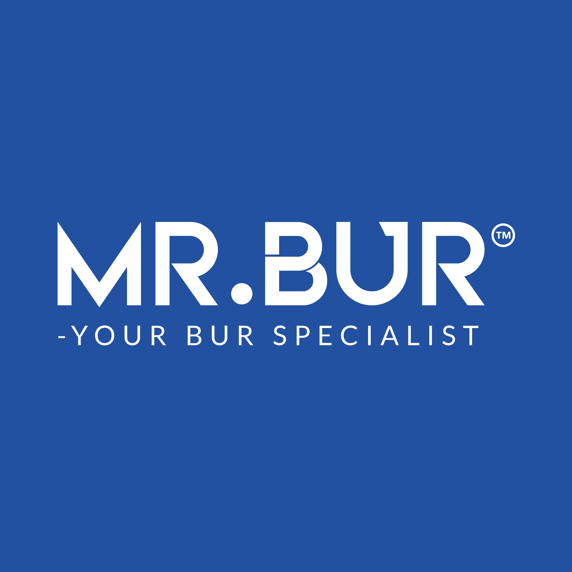 MR.BUR